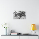 B&W Longhorn Bull Canvas