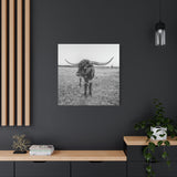 B&W Longhorn Bull Square Canvas