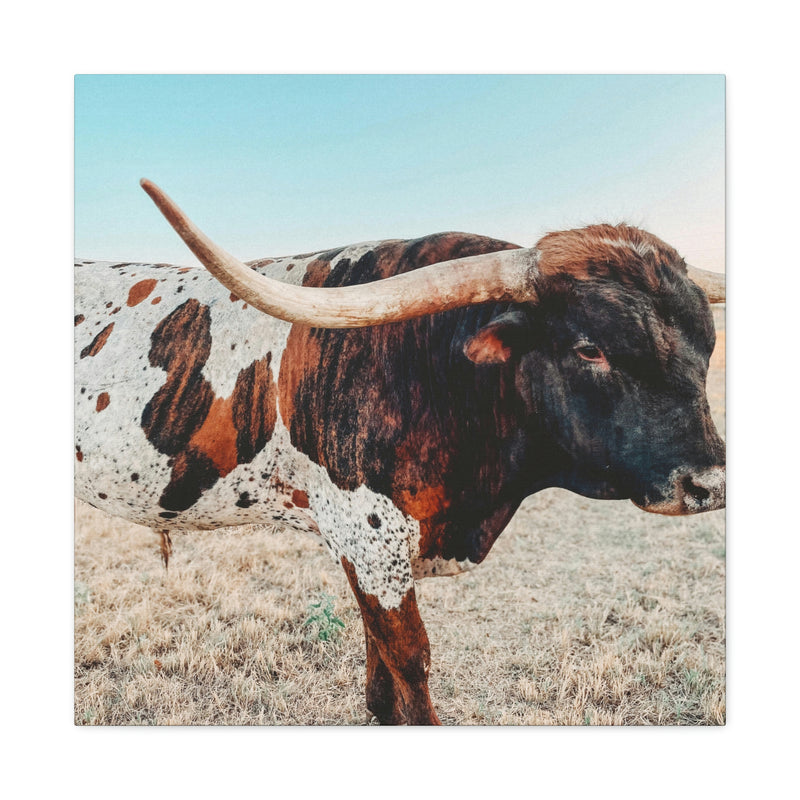 Iron Dragon Longhorn Bull Square Canvas