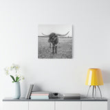 B&W Longhorn Bull Square Canvas