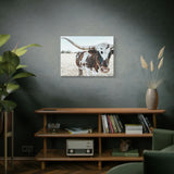 Charlotte The Longhorn Cow Horizontal Canvas