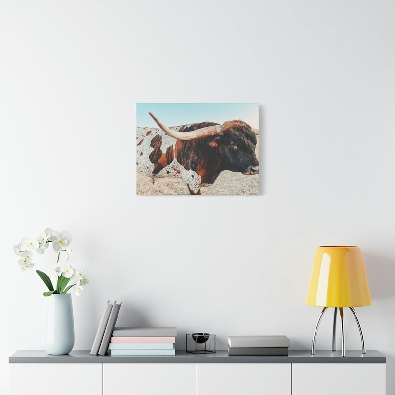 Iron Dragon Longhorn Bull Horizontal Canvas