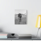 B&W Longhorn Bull Vertical Canvas