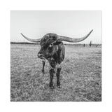 B&W Longhorn Bull Square Canvas