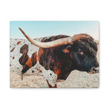 Iron Dragon Longhorn Bull Horizontal Canvas