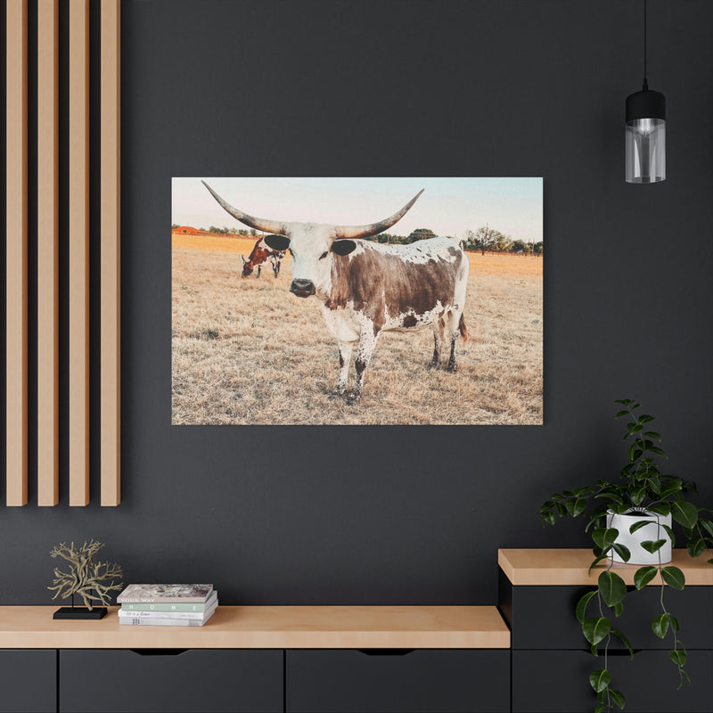 Longhorn Cow Canvas