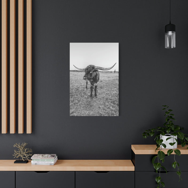 B&W Longhorn Bull Vertical Canvas