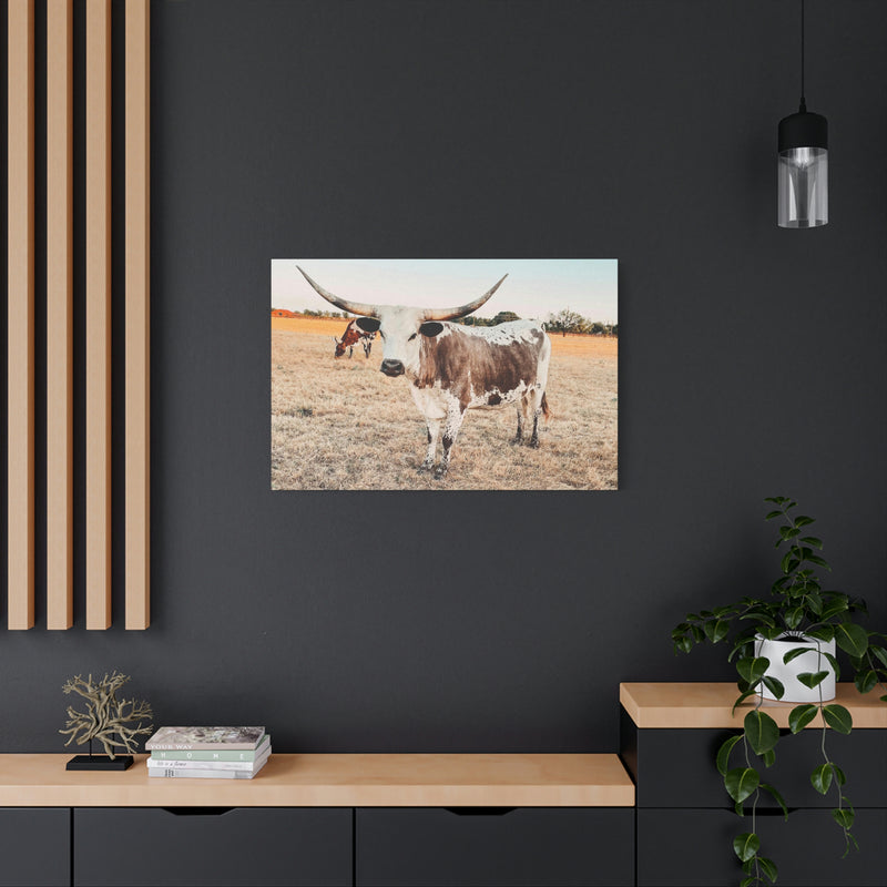 Longhorn Cow Canvas