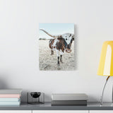 Charlotte Longhorn Cow Vertical Canvas