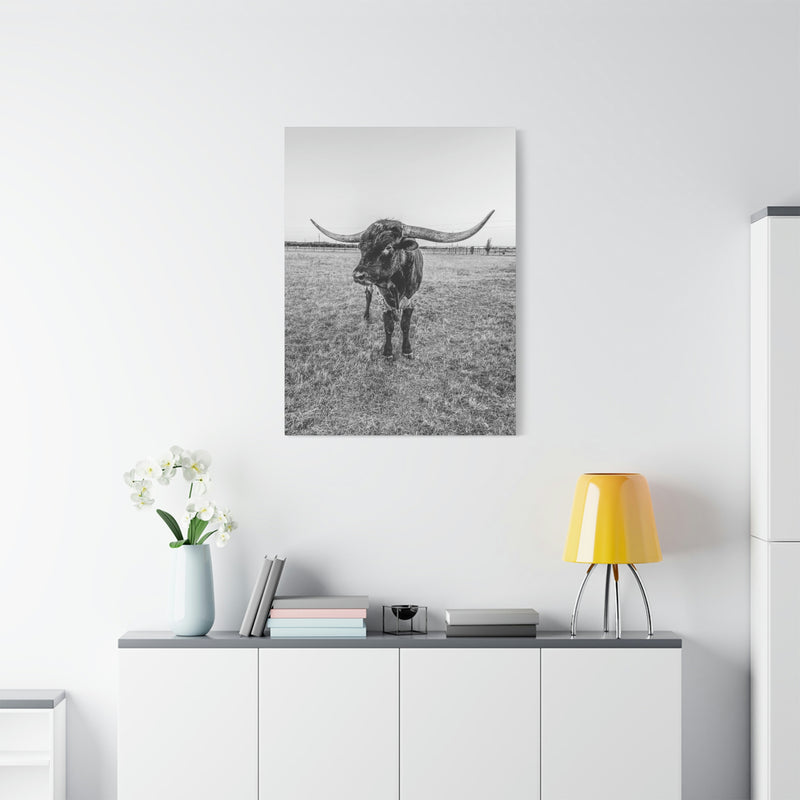 B&W Longhorn Bull Vertical Canvas