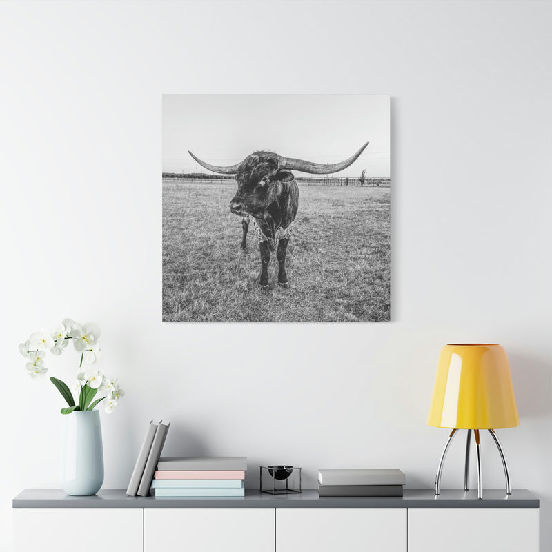 B&W Longhorn Bull Square Canvas