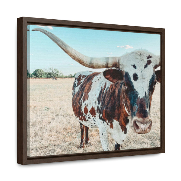 Charlotte The Longhorn Canvas with Wood Frame