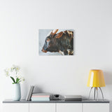 Longhorn Bull Canvas