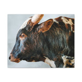 Longhorn Bull Canvas