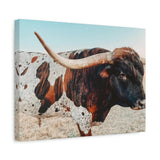 Iron Dragon Longhorn Bull Horizontal Canvas