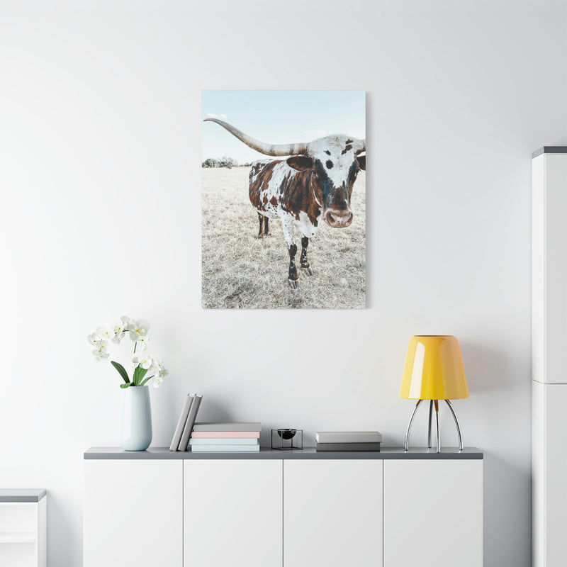 Charlotte Longhorn Cow Vertical Canvas