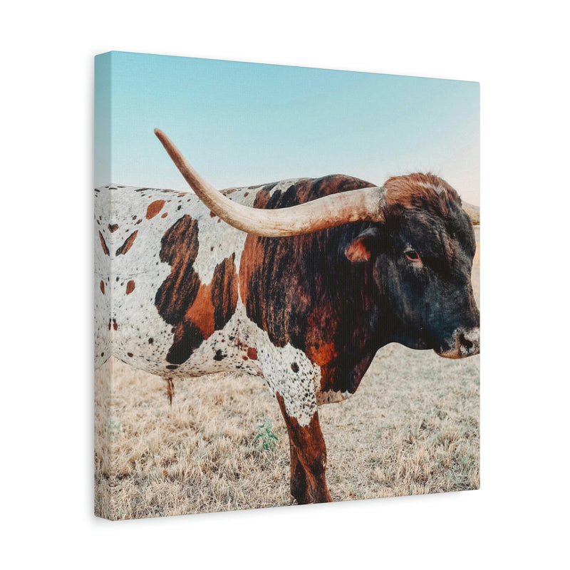 Iron Dragon Longhorn Bull Square Canvas