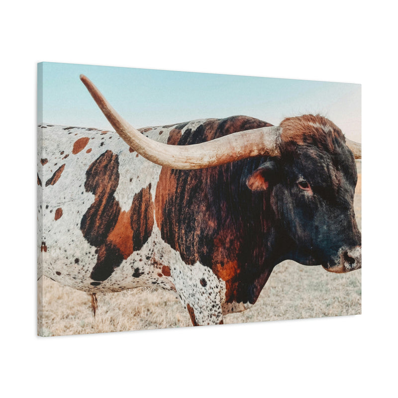 Iron Dragon Longhorn Bull Horizontal Canvas