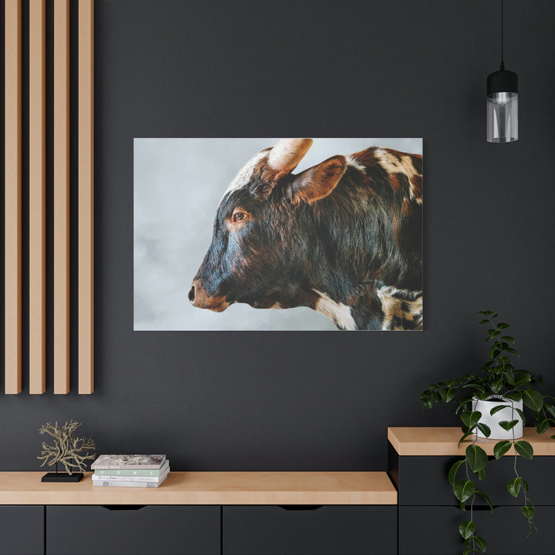 Longhorn Bull Canvas