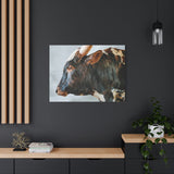 Longhorn Bull Canvas