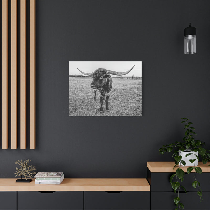 B&W Longhorn Bull Horizontal Canvas