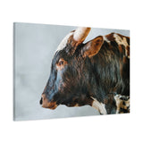 Longhorn Bull Canvas