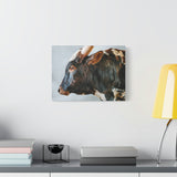 Longhorn Bull Canvas