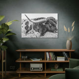 B&W Longhorn Bull Canvas