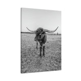 B&W Longhorn Bull Vertical Canvas