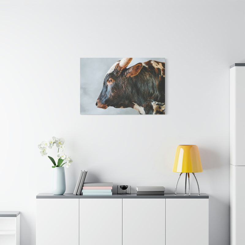 Longhorn Bull Canvas