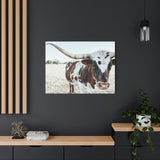 Charlotte The Longhorn Cow Horizontal Canvas