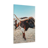 Iron Dragon Longhorn Bull Vertical Canvas