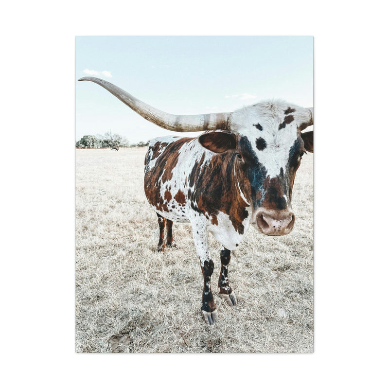 Charlotte Longhorn Cow Vertical Canvas