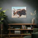 Iron Dragon Longhorn Bull Horizontal Canvas