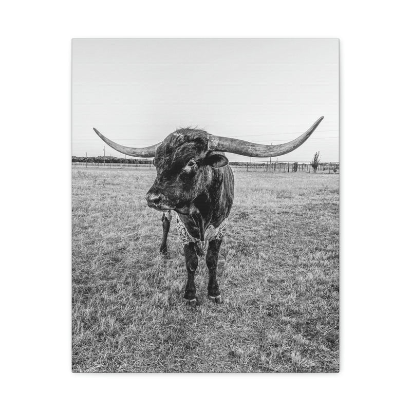 B&W Longhorn Bull Vertical Canvas