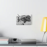 B&W Longhorn Bull Canvas