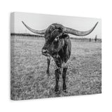 B&W Longhorn Bull Horizontal Canvas