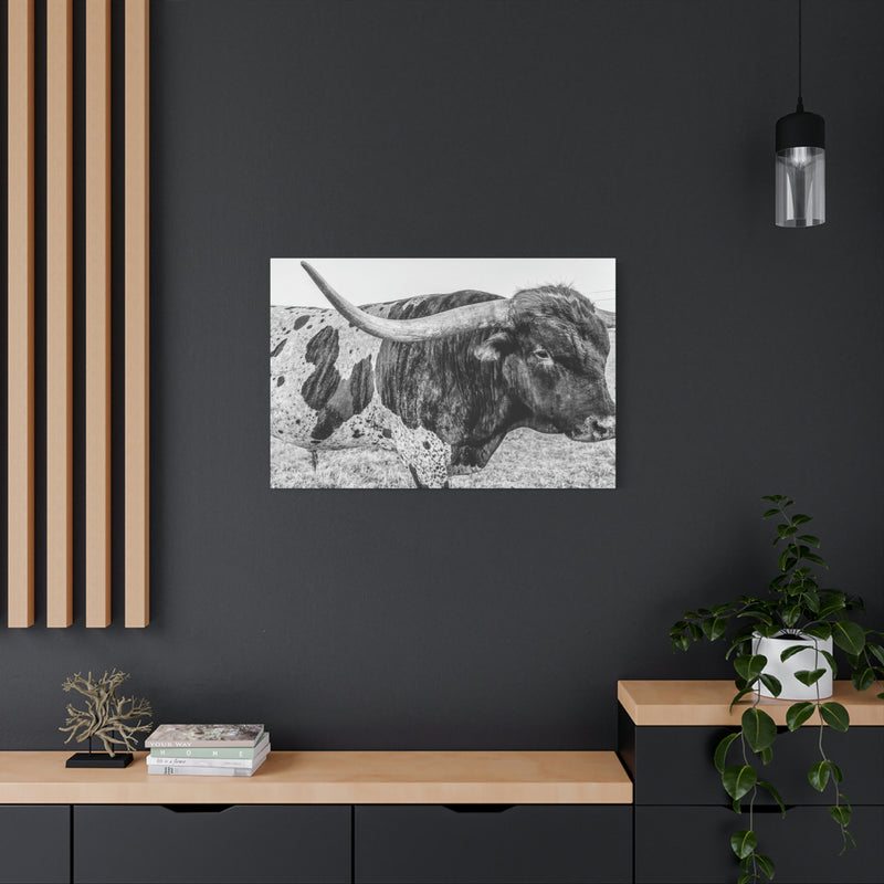 B&W Longhorn Bull Canvas