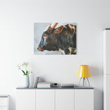 Longhorn Bull Canvas