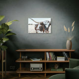 Charlotte The Longhorn Cow Horizontal Canvas