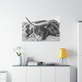 B&W Longhorn Bull Canvas