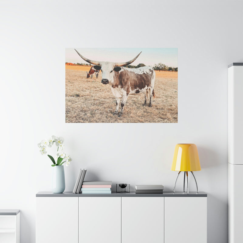 Longhorn Cow Canvas