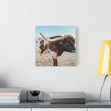 Iron Dragon Longhorn Bull Square Canvas