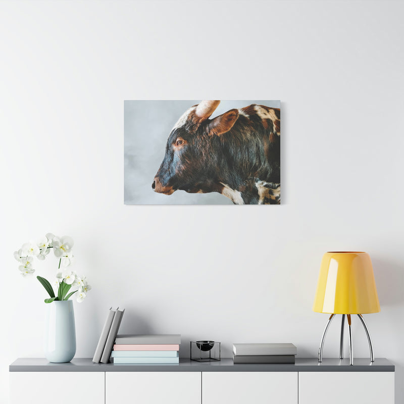 Longhorn Bull Canvas