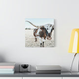 Charlotte The Longhorn Cow Square Canvas