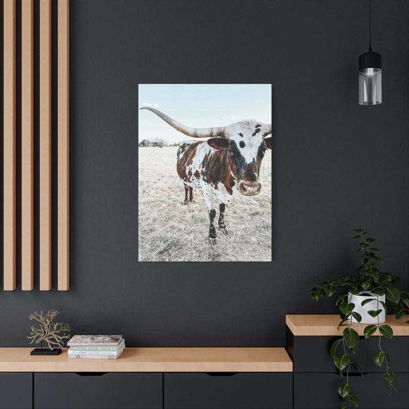 Charlotte Longhorn Cow Vertical Canvas