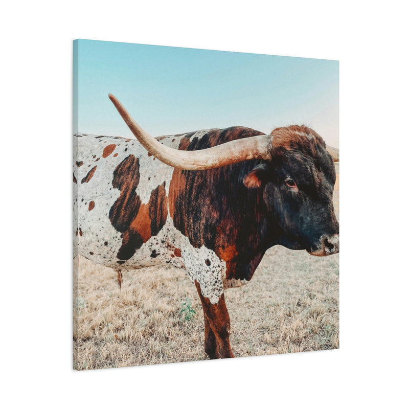 Iron Dragon Longhorn Bull Square Canvas