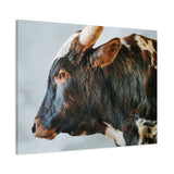 Longhorn Bull Canvas