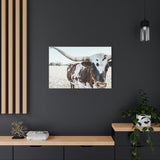 Charlotte The Longhorn Cow Horizontal Canvas