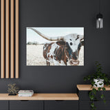 Charlotte The Longhorn Cow Horizontal Canvas